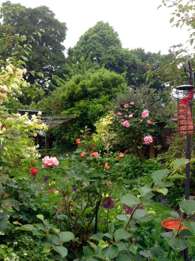 Hyacinth Bed & Breakfast Somerset  Exterior foto